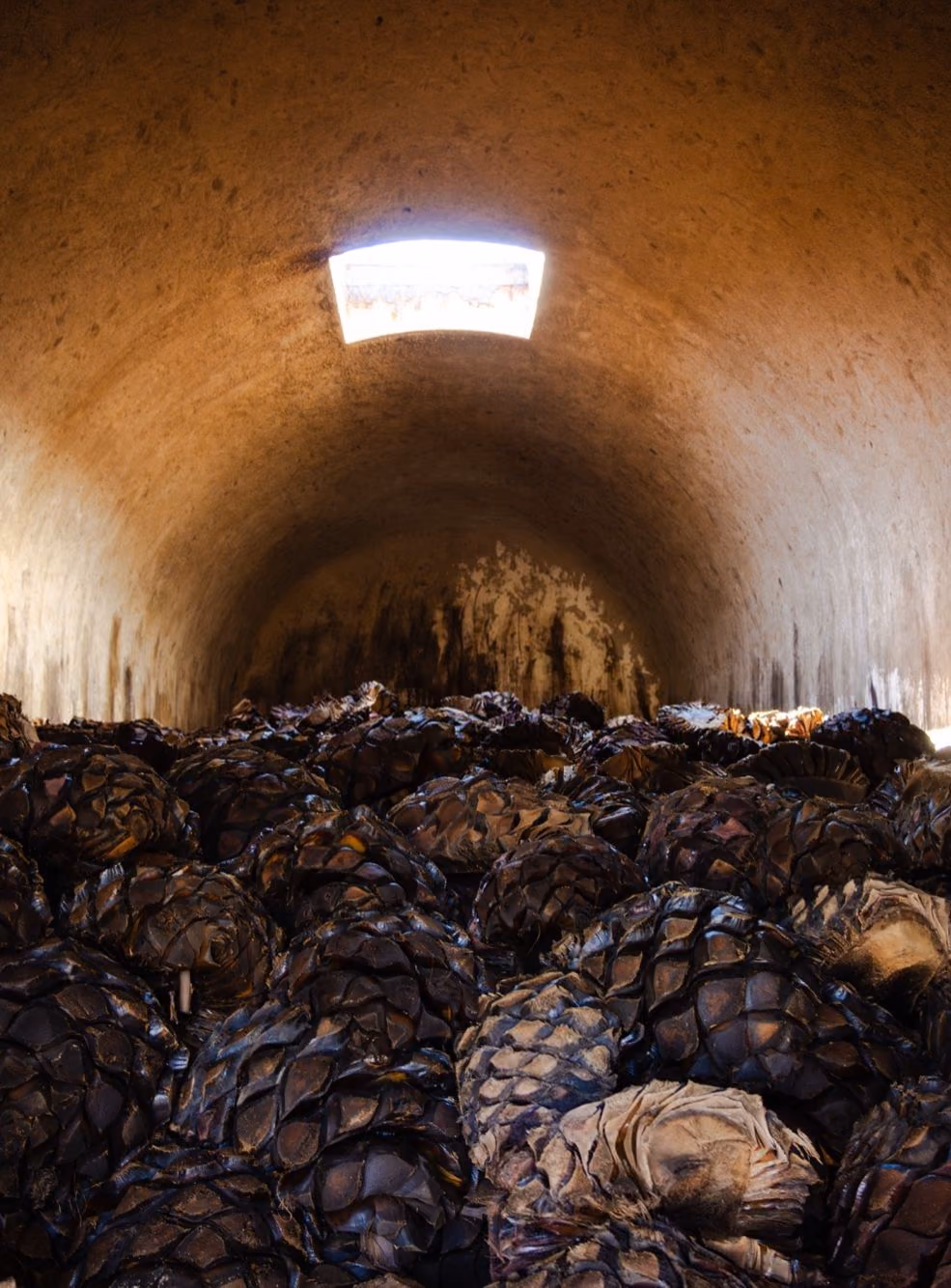 Agave piñas piled inside a brick oven